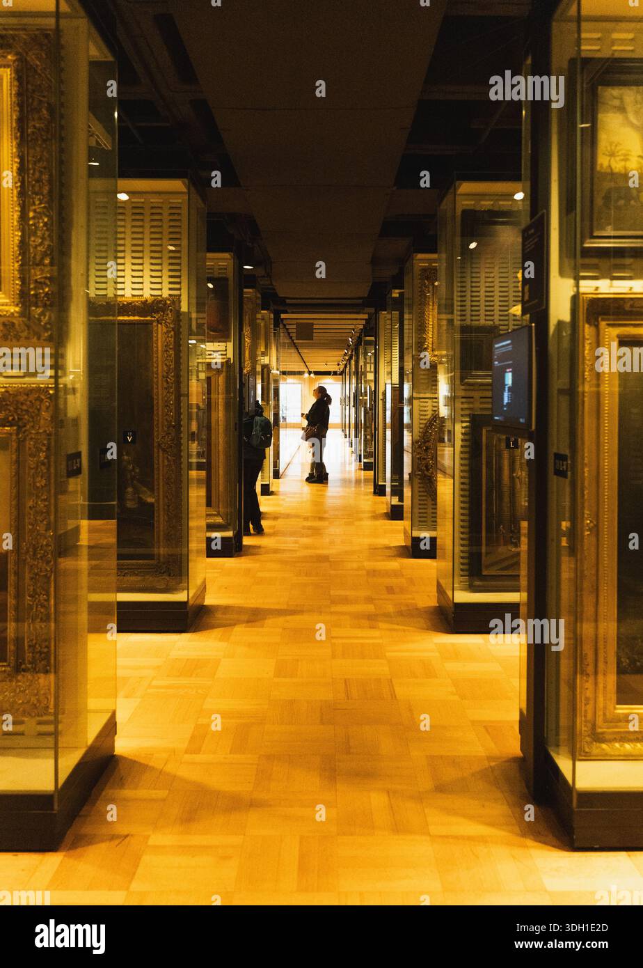 Un corridoio simmetrico all'interno del Metropolitan Museum of Art, con vetrine in vetro, pavimenti in legno e un visitatore che cammina. Foto Stock