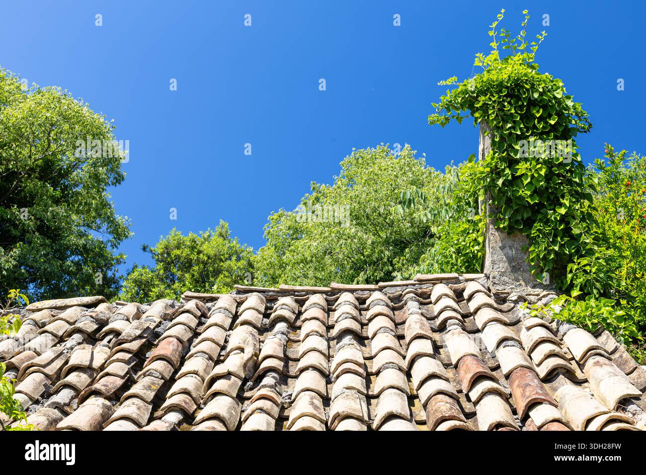 Tetto rustico in piastrelle di argilla ombreggiato da edera e vegetazione arrampicate, con un camino alto e un cielo blu vibrante, che creano una tranquilla scena architettonica all'aperto Foto Stock