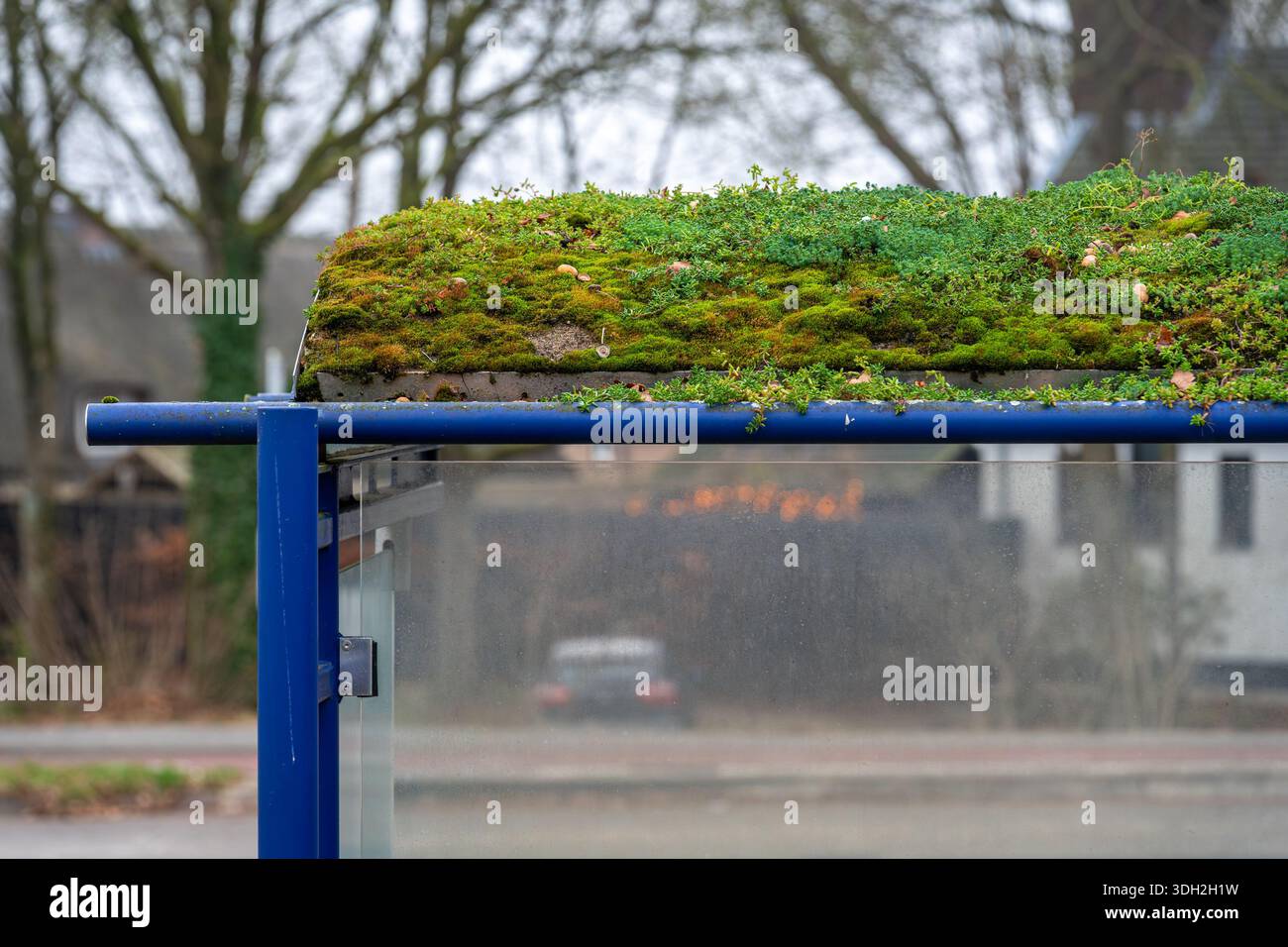 Fermata dell'autobus urbano ecologico con tetto verde vivente Foto Stock