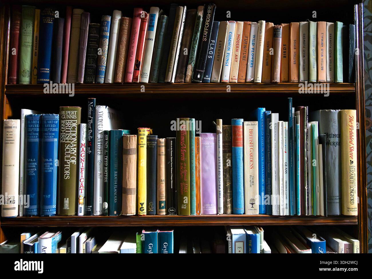Libri d'epoca su scaffali Foto Stock