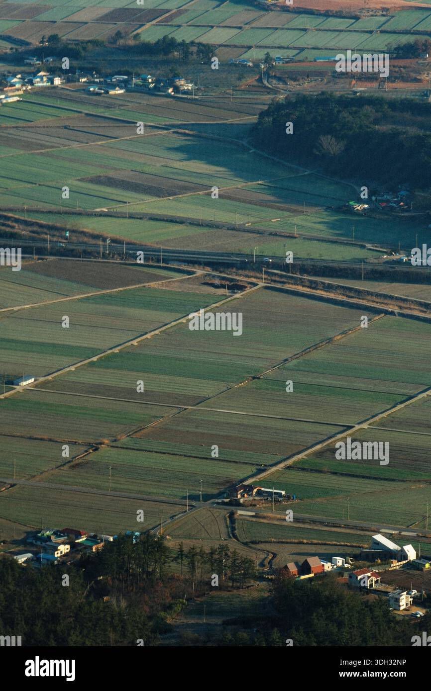 Terreni agricoli geometrici e campi coltivati che formano un modello patchwork nella campagna coreana, nei villaggi rurali e nel paesaggio agricolo Foto Stock
