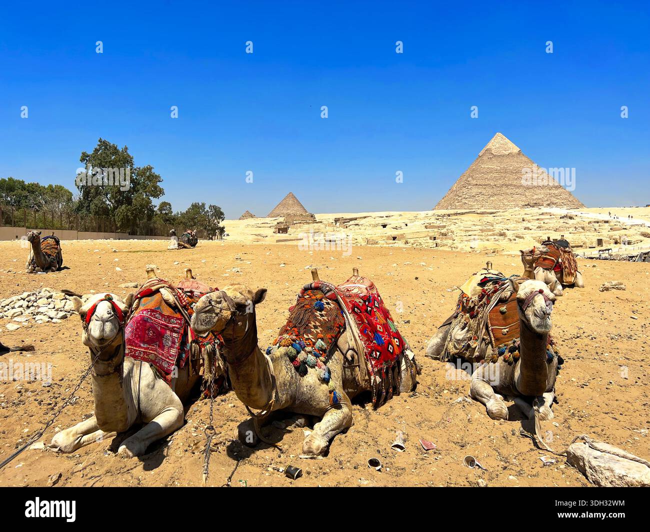 La piramide di Khafre di Giza in Egitto. Foto Stock