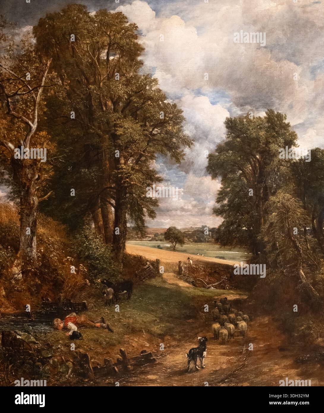The Cornfield - un dipinto d'arte di Constable - opera d'arte del XIX secolo Foto Stock