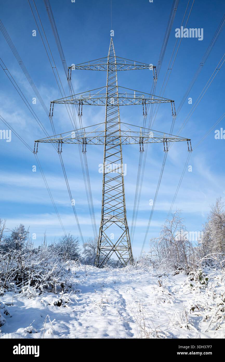polo elettrico nel paesaggio invernale Foto Stock