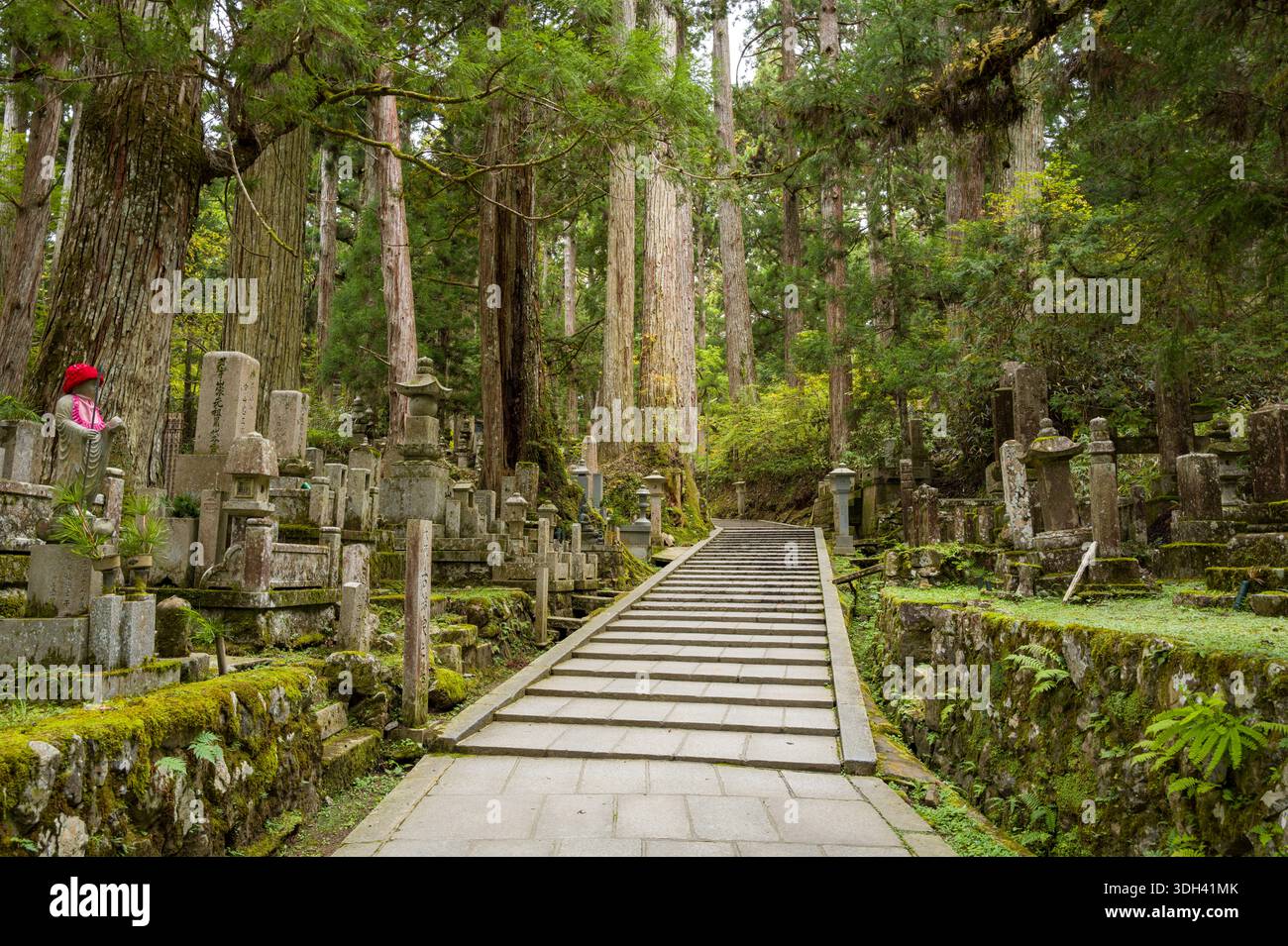 Koya San, Giappone - 21 ottobre 2023: Una scala di pietra attraversa il cimitero di Okunoin, fiancheggiata da lapidi, monumenti coperti di muschio, una statua di Jizo con un pettorale rosso e alti alberi di cedro. Foto Stock