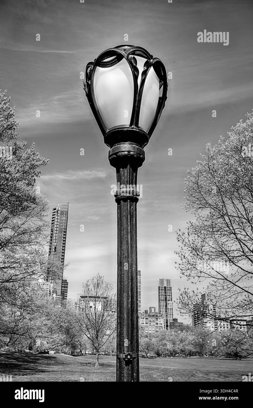 Un semaforo in ferro battuto si trova di fronte a uno dei prati di Central Park a New York. Foto Stock