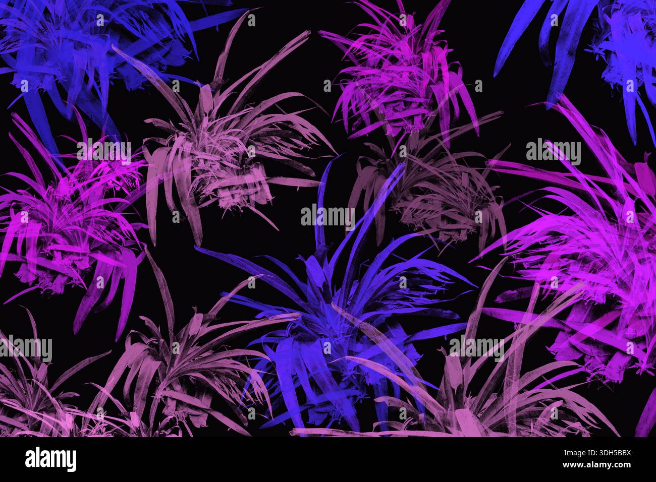 I vivaci motivi botanici rosa neon e viola creano una visualizzazione dinamica e dinamica su uno sfondo nero scuro, evocando un senso di mod Foto Stock
