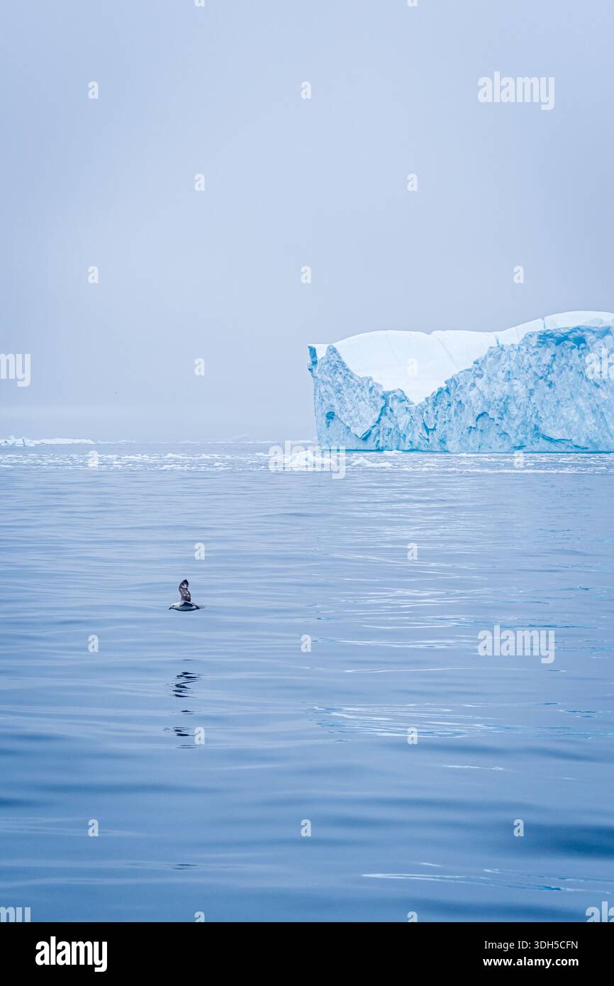 Un iceberg solitario galleggia nelle acque calme e fredde della Groenlandia. Un piccolo uccello vola graziosamente sopra il mare sereno, creando un senso di pace e di isol Foto Stock
