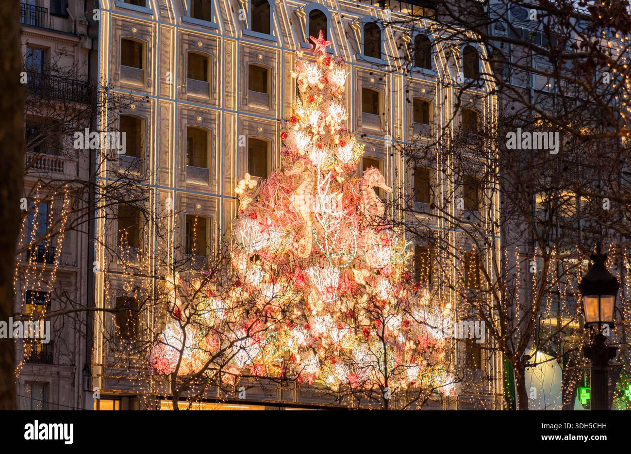 Un grande albero di Natale adornato da luci festose si erge orgogliosamente di fronte a un elegante edificio parigino, catturando l'incantevole spirito del buongiorno Foto Stock