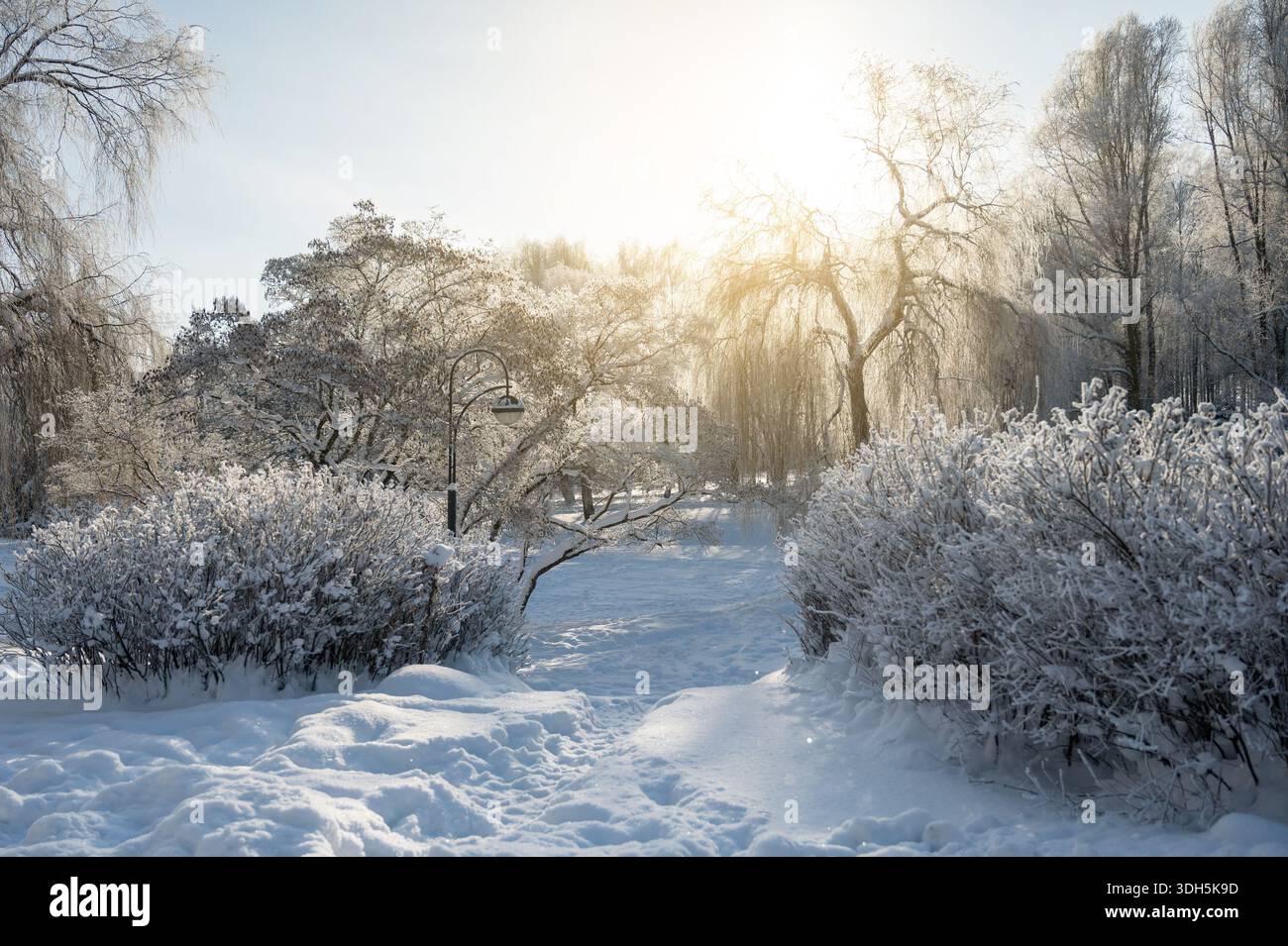 Ampio paesaggio invernale con fiume ghiacciato e alberi innevati, concetto di stagione fredda, natura e tranquillità Foto Stock