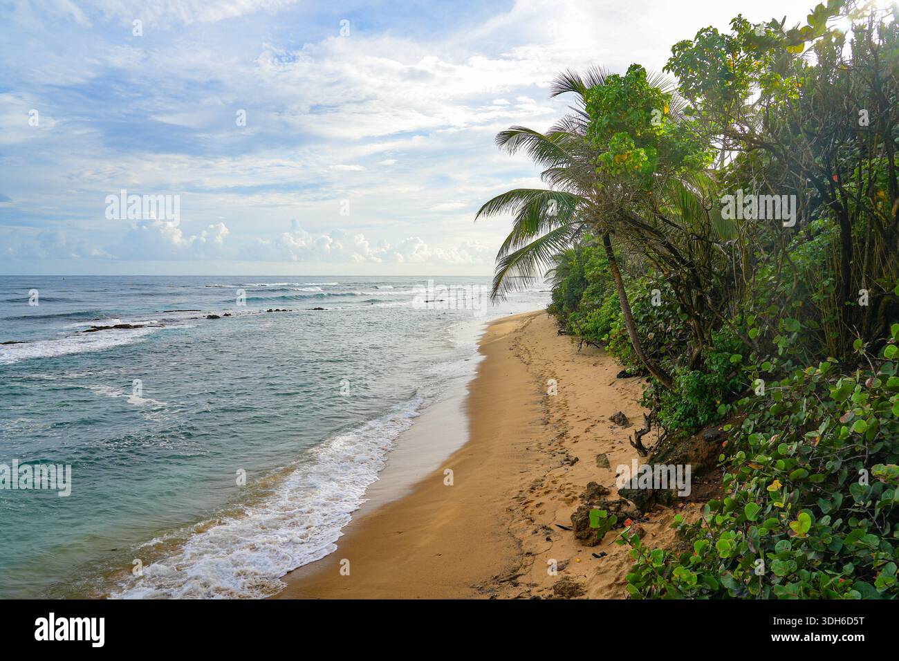 La bellezza naturale della spiaggia di Playa Peña a San Juan, Porto Rico Foto Stock