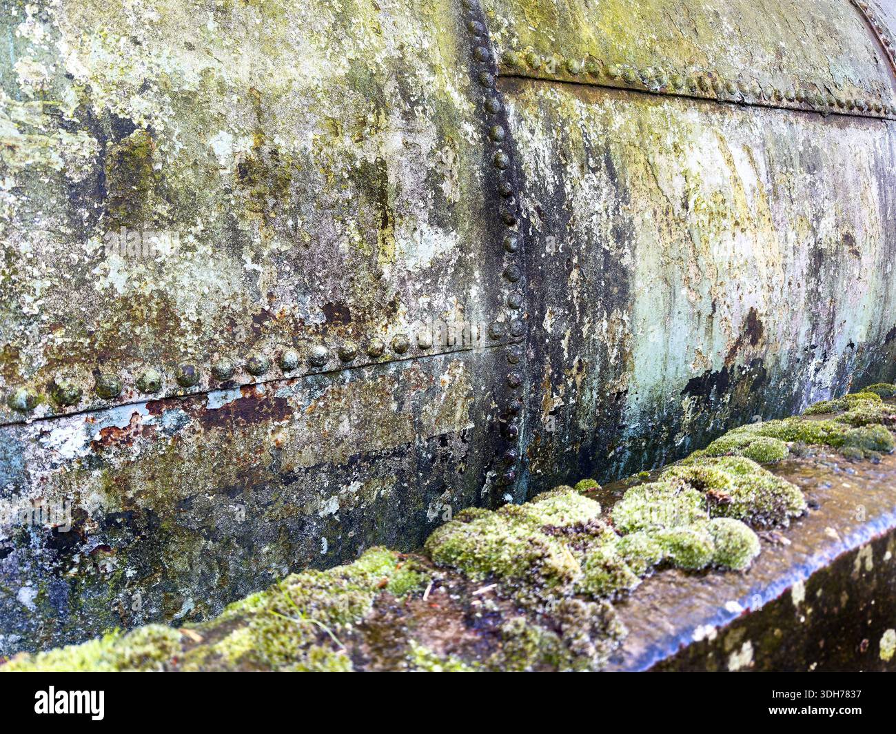 Primo piano di una struttura in metallo arrugginito ricoperto di muschio con corrosione e consistenza intemprata che suggerisce un'esposizione a lungo termine agli elementi Foto Stock
