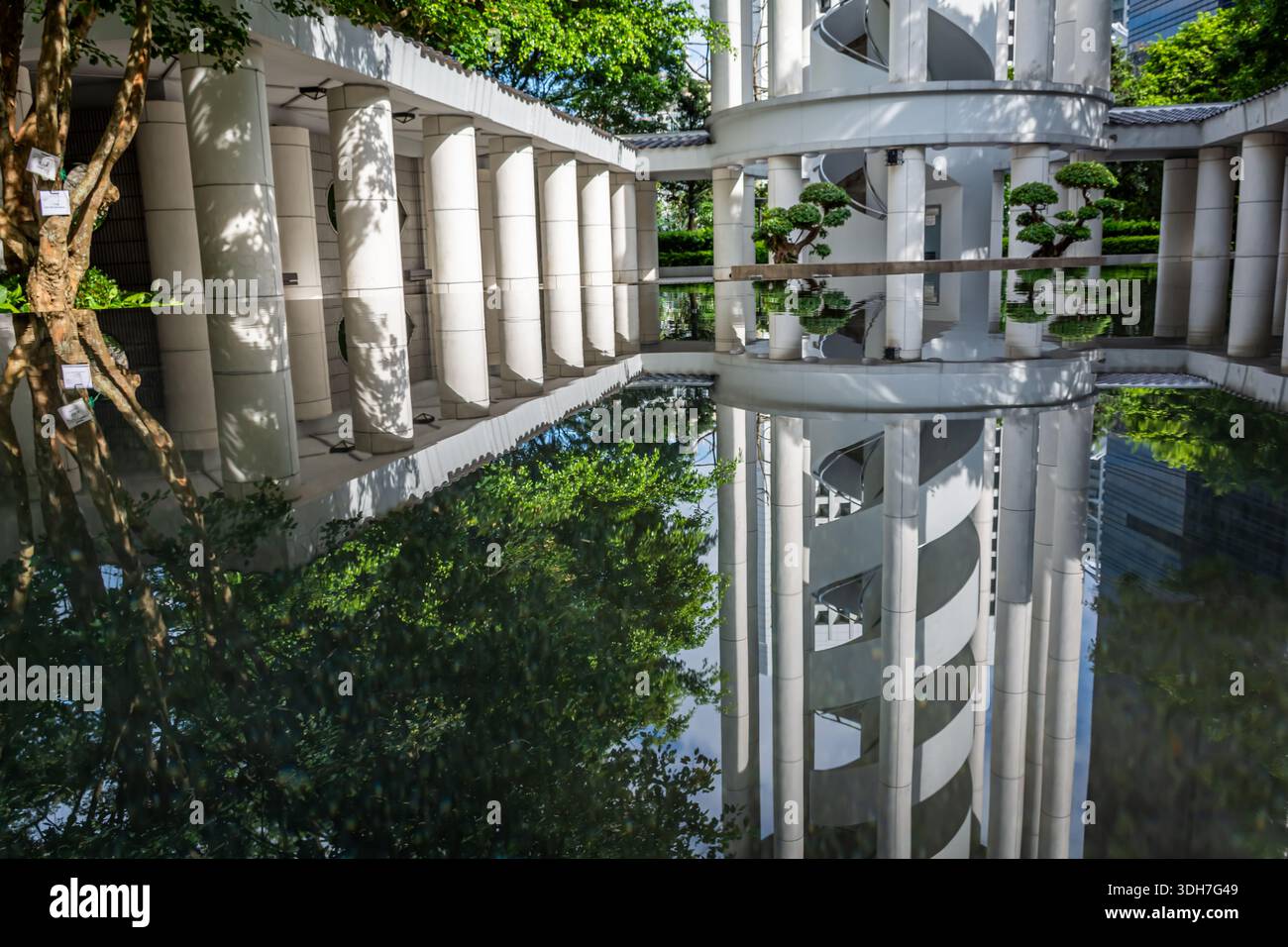 Selezione di immagini scattate nel o dal parco centrale di Hong Kong. Riflessi da uno stagno nel parco. Foto Stock
