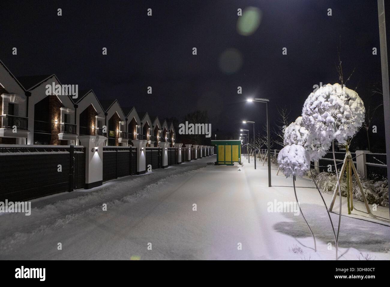 Enormi sculture di leoni ricoperte di neve di notte Foto Stock
