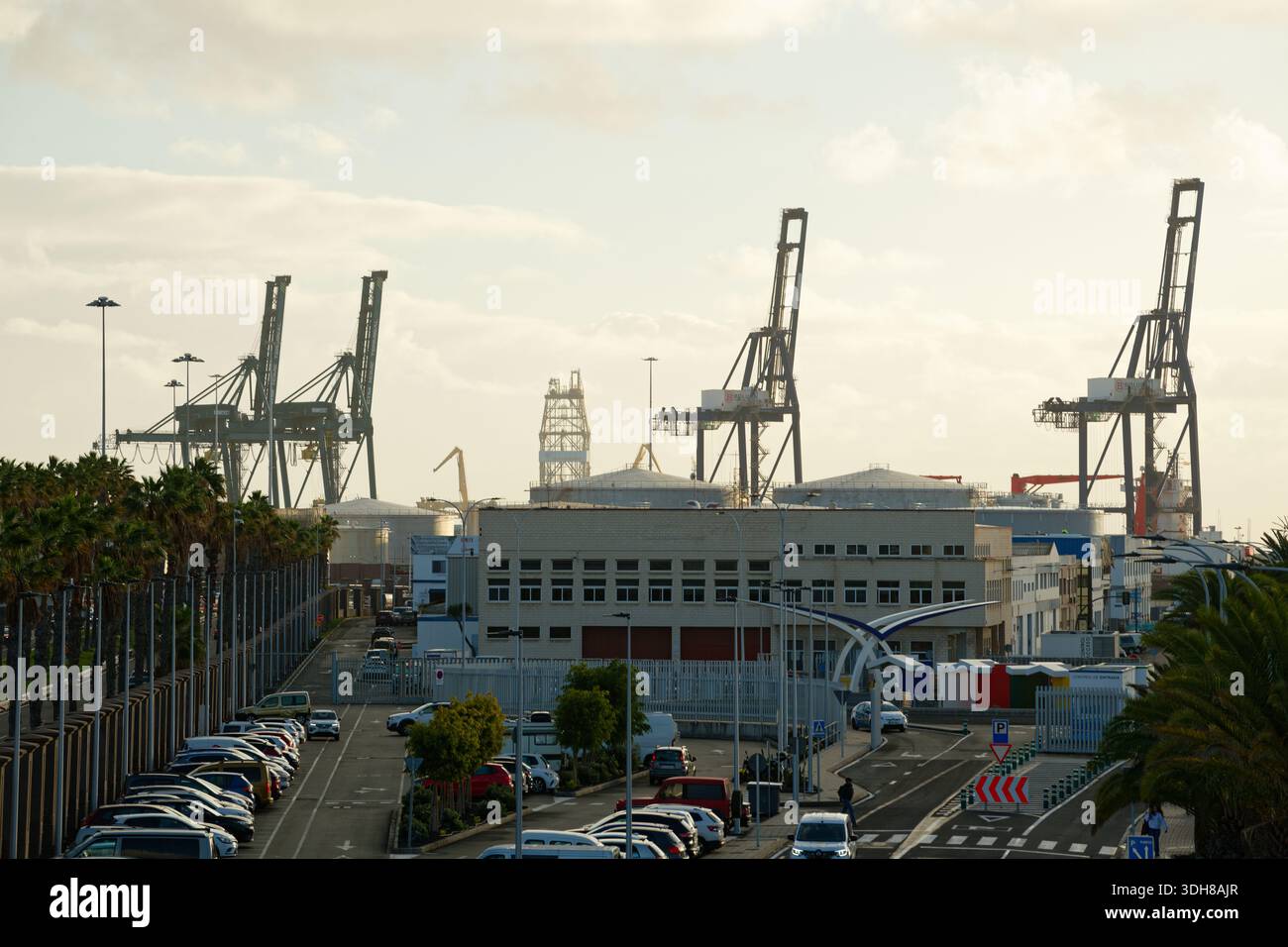 Attività portuale, stevedores gru, navi, mare e porto sicuro. Stazione commerciale marittima internazionale. Carico e scarico di imbarcazioni. Foto Stock