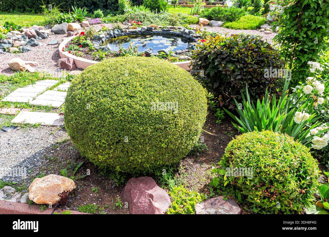 Arbusto decorativo e letto di fiori con piante ornamentali e fiori in un giardino. Design paesaggistico Foto Stock