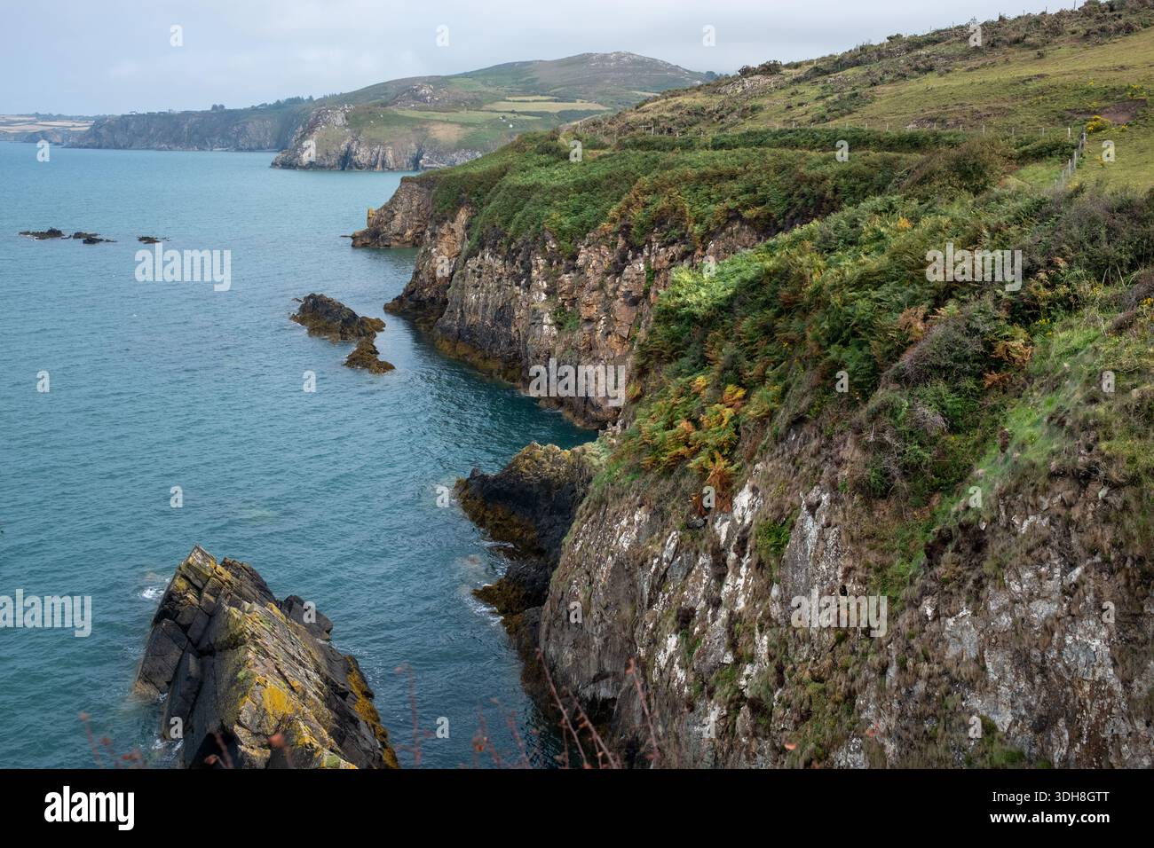 La costa gallese vista da Fishguard Fort sopra Fishguard Harbour, Pembrokeshire, Galles occidentale Foto Stock