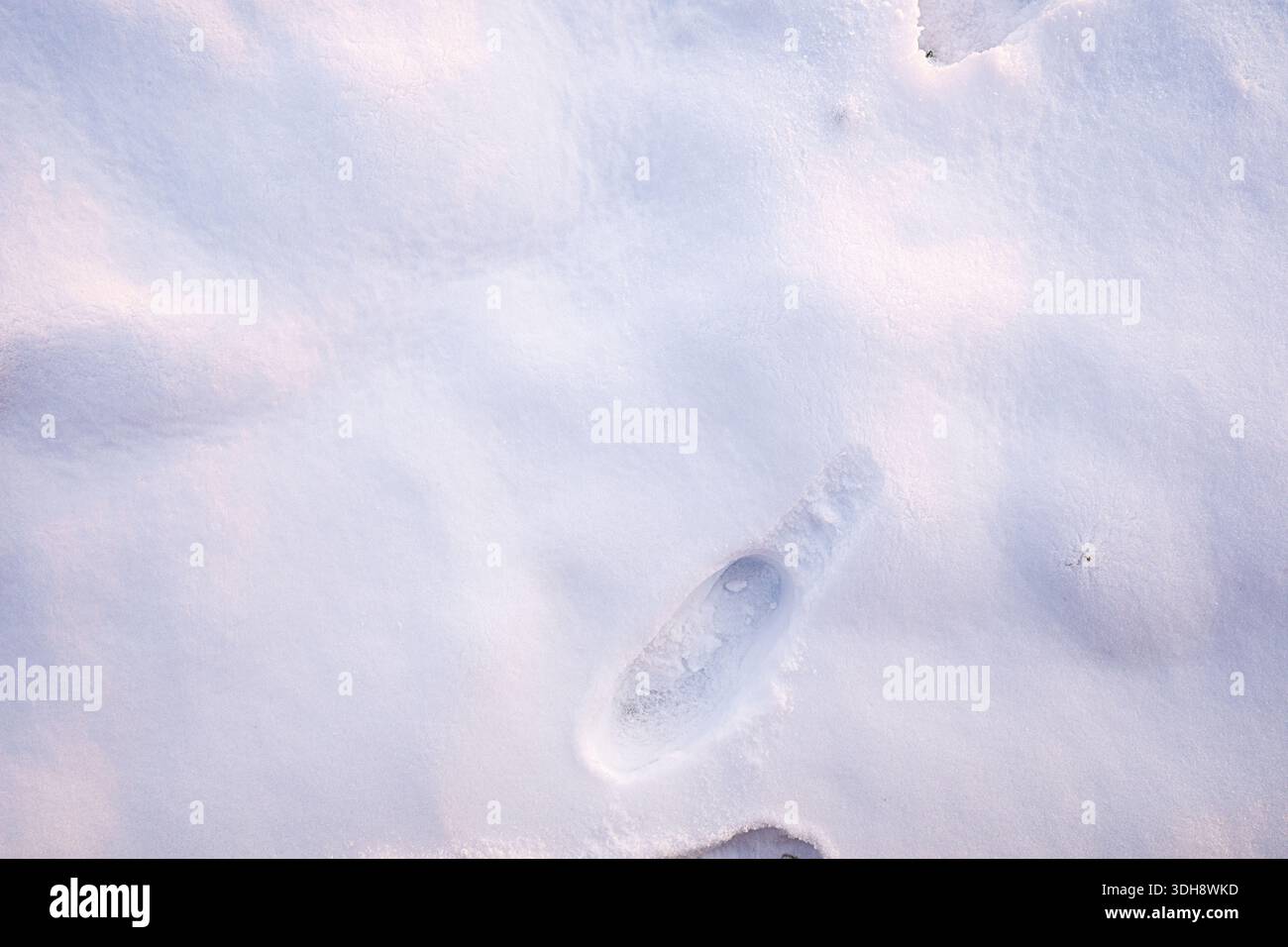 Un terreno innevato con un'impronta nella neve. L'ingombro è ridotto e si trova al centro della neve Foto Stock