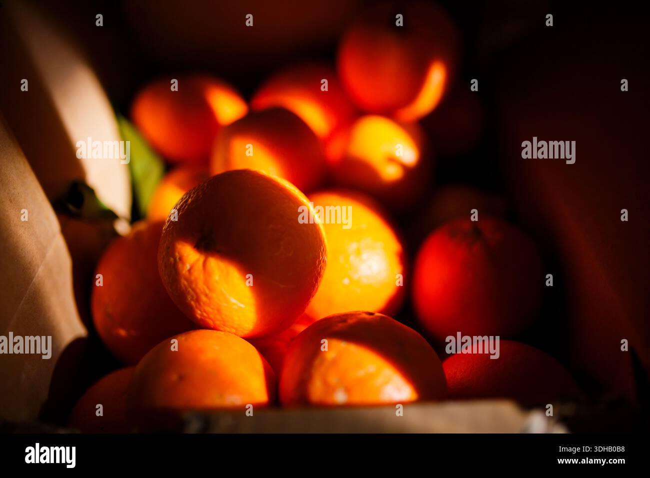 Una composizione dinamica di arance in un contenitore, dove la luce del sole crea motivi e mette in evidenza la rotondità del frutto. Foto Stock