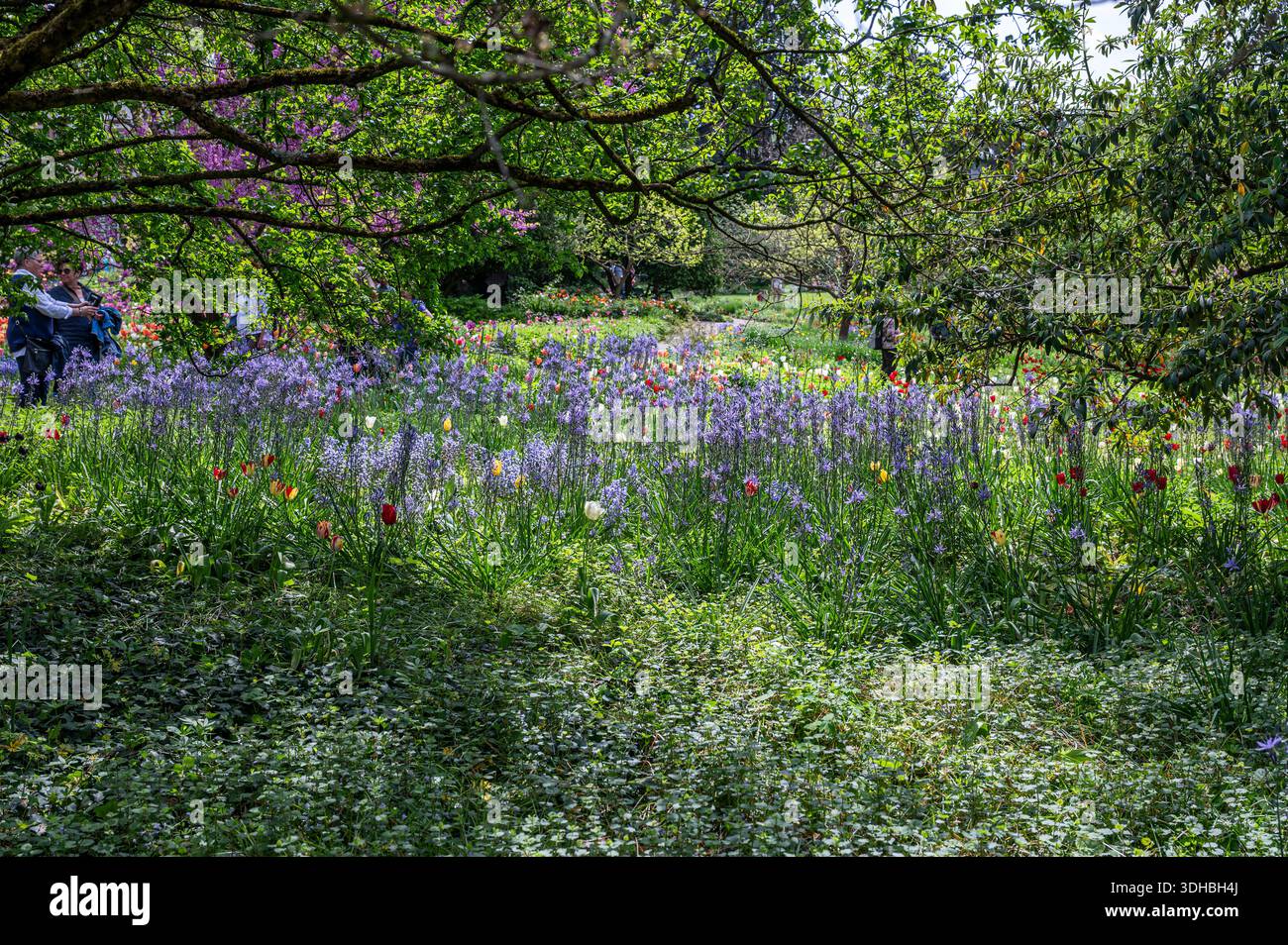 Giardini Hermannshof a Weinheim, Germania Foto Stock