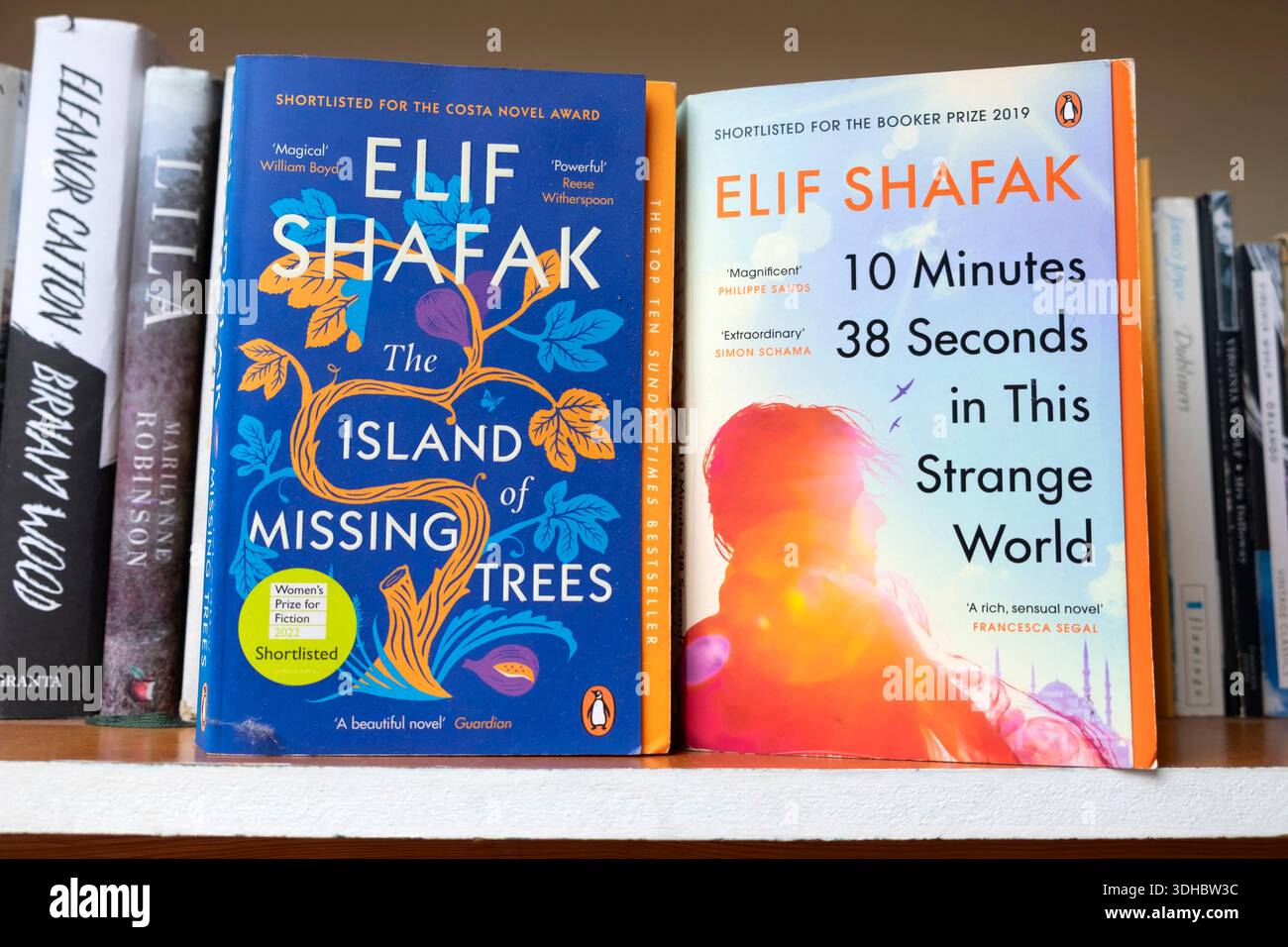 Il libro di Elif Shafak copre i libri "10 minuti e 38 secondi in questo strano mondo" "l'isola degli alberi mancanti" sulla scaffale di casa UK KATHY DEWITT Foto Stock