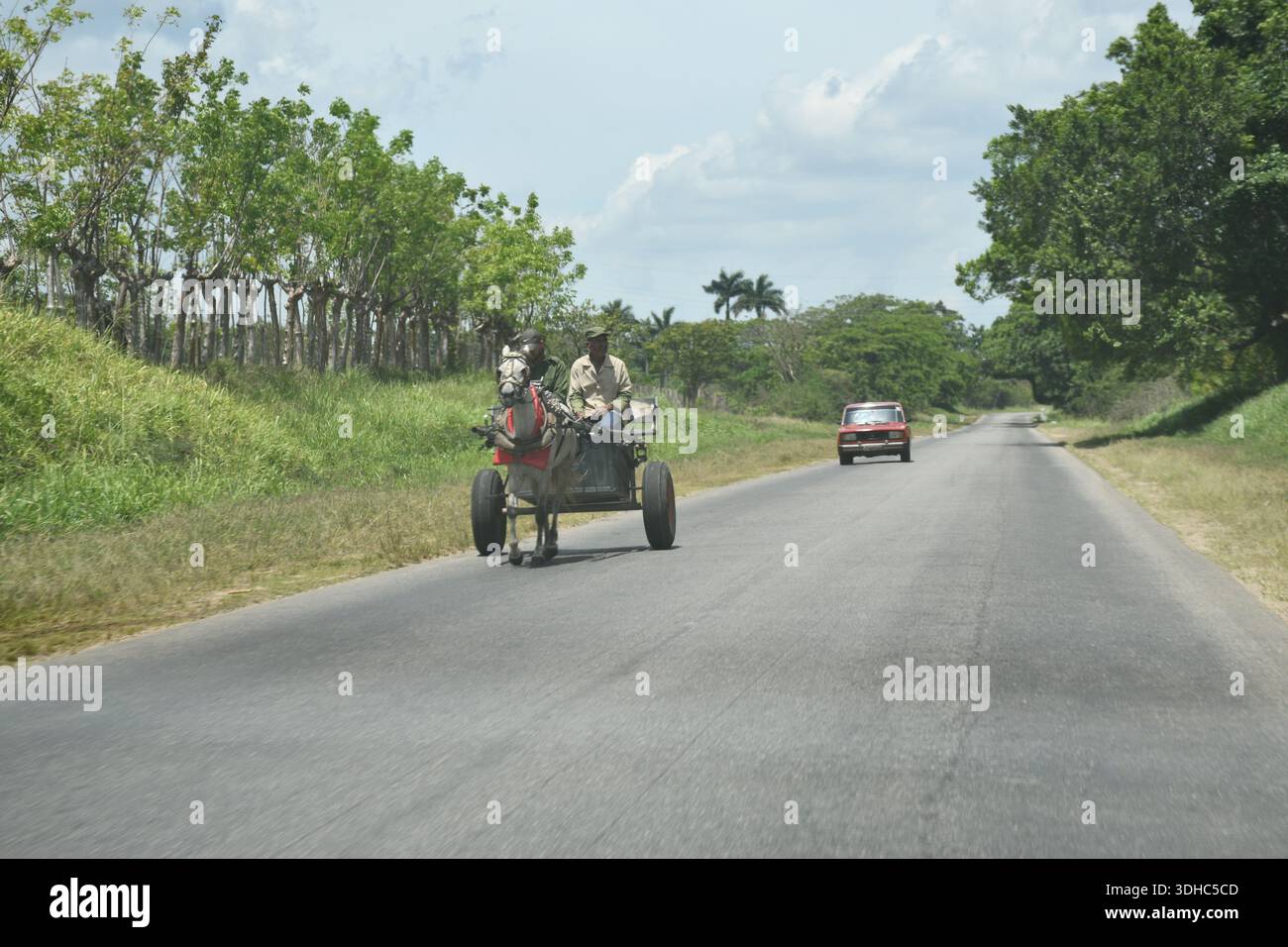 Una carrozza trainata da cavalli percorre strade rurali asfaltate mentre l'auto si avvicina Foto Stock