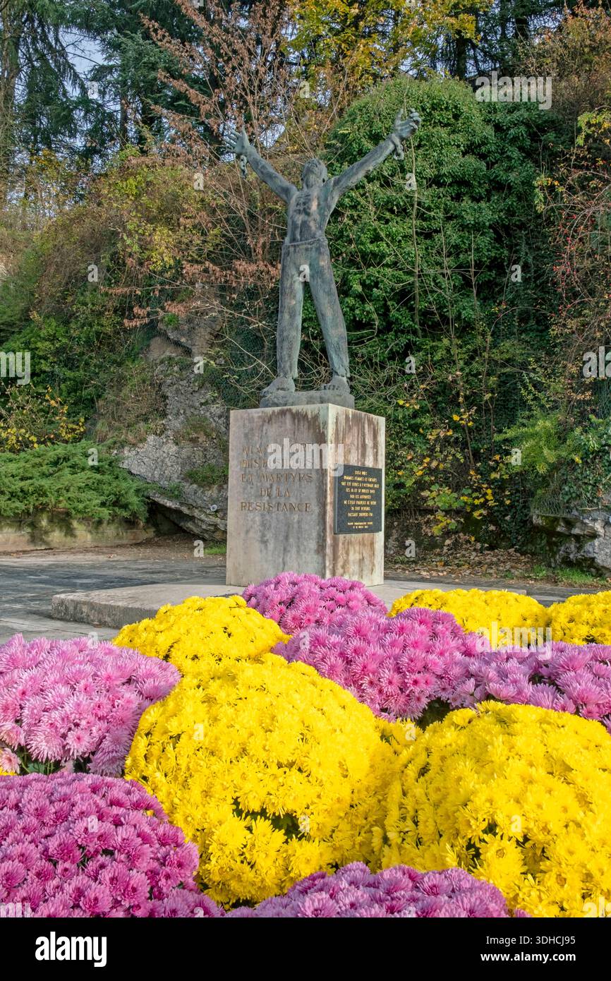 Francia, Territoire de Belfort, Belfort, Place Anne-Frank, monumento ai giustiziati e martiri della resistenza, crisantemi autunnali Foto Stock