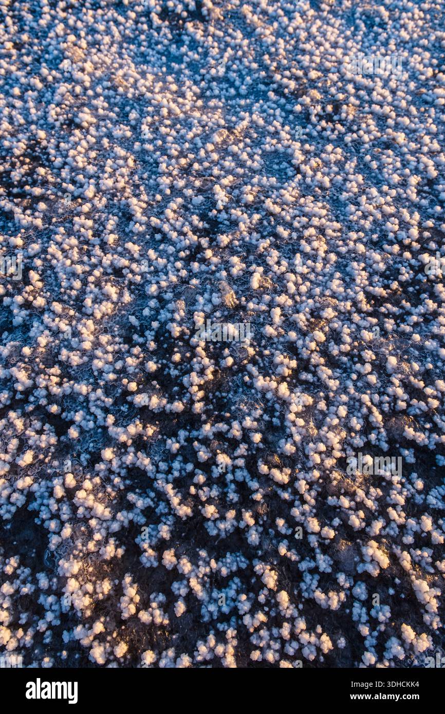 India, stato del Gujarat, regione di Kutch, il grande rann di Kutch, uno dei più grandi deserti salati del mondo Foto Stock