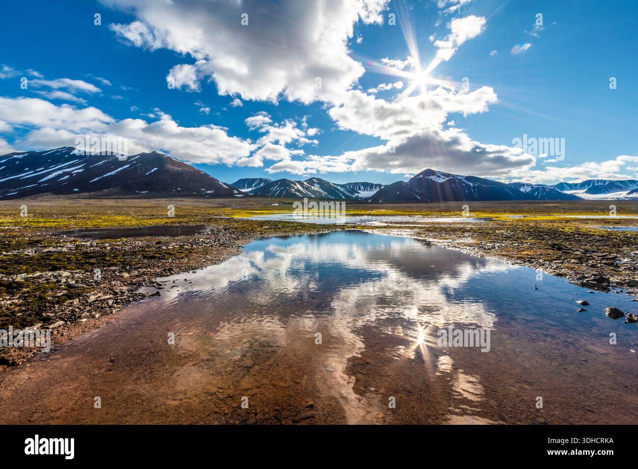 Norvegia, arcipelago delle Svalbard, isola di Spitsbergen, Mushamna, paesaggio tundra sotto il sole Foto Stock