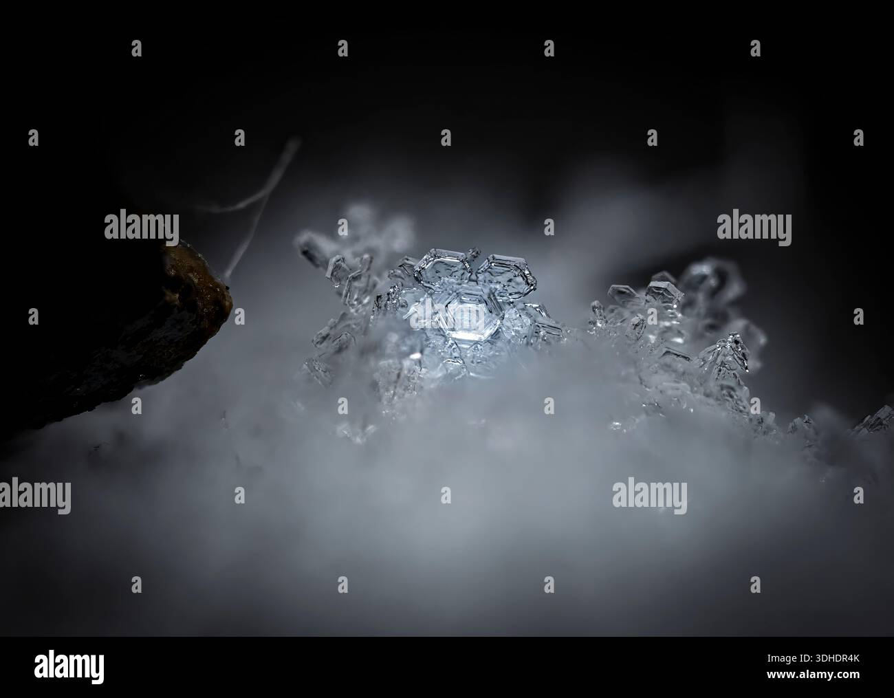 Foto macro di un fiocco di neve su una superficie ghiacciata, che mostra una struttura cristallina e una simmetria naturale. Foto Stock