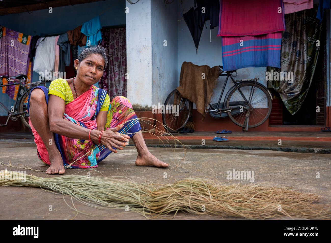 Donna che prepara cannucce da usare per i cesti, Orissa, India Foto Stock