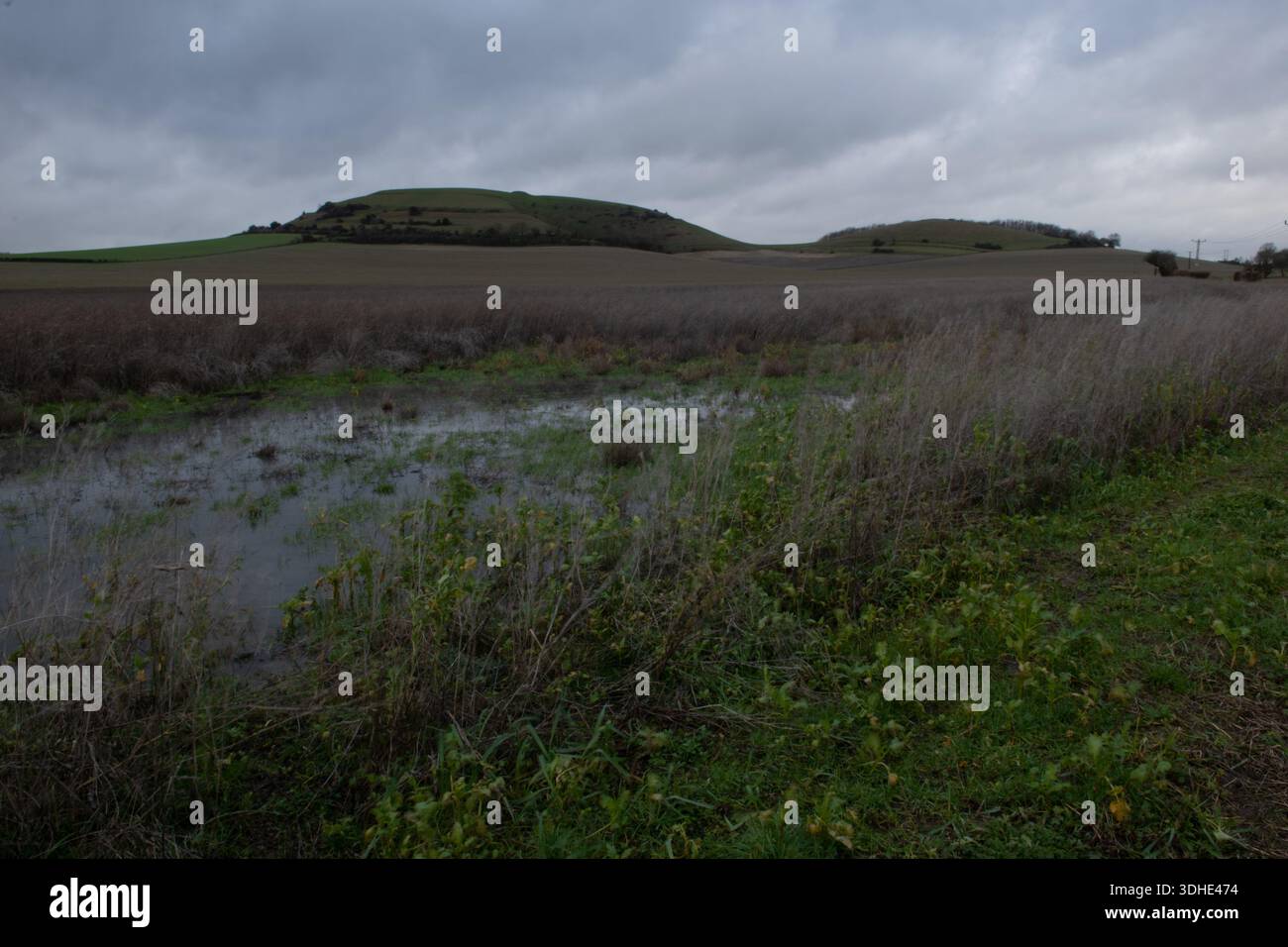 Cley Hill, Wiltshire, Inghilterra Foto Stock