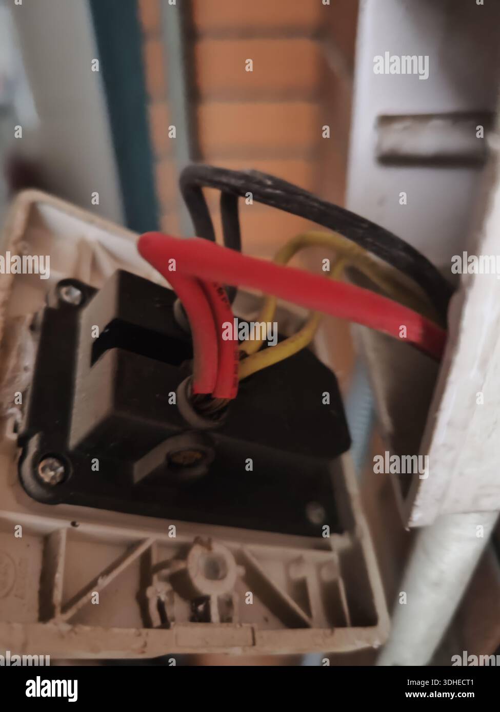 Cablaggio elettrico all'interno di una scatola interruttori con cavi rossi, neri e gialli Foto Stock