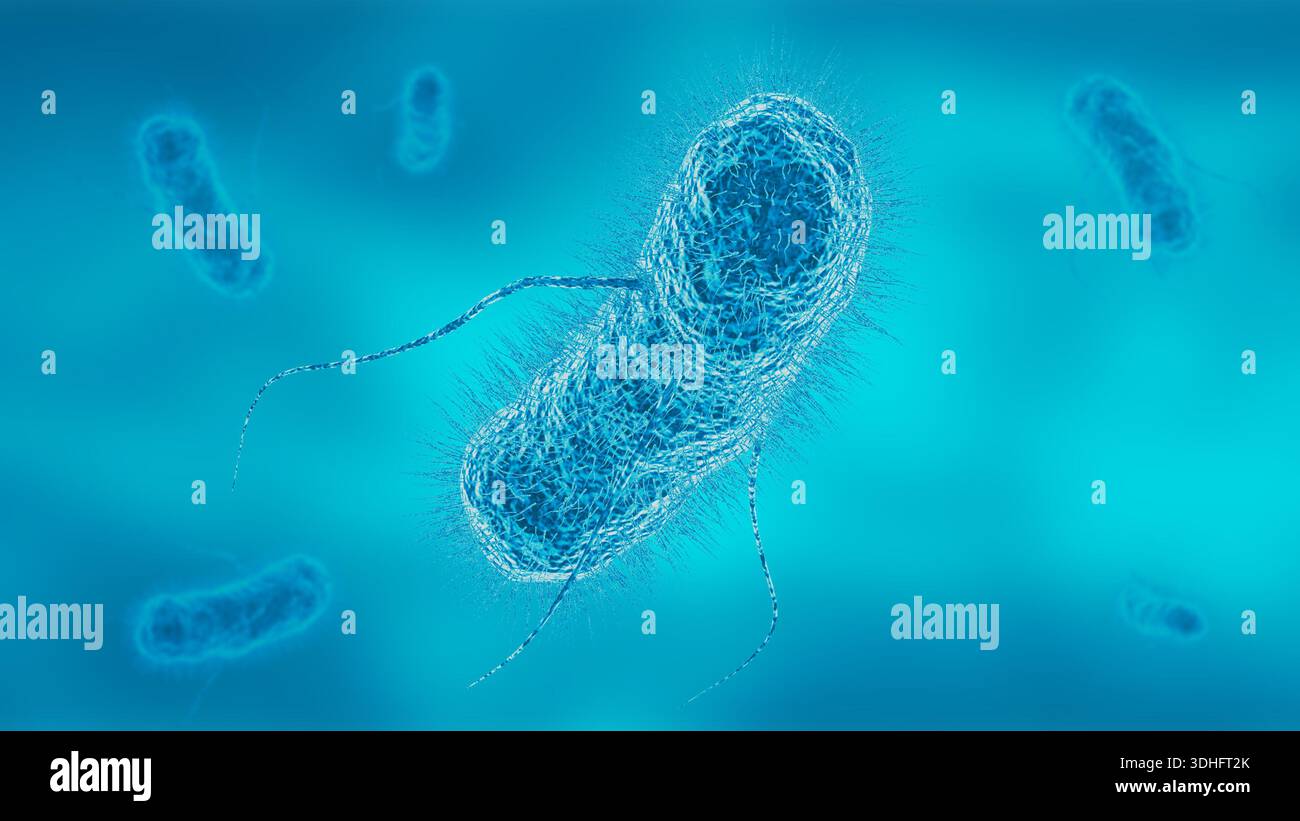 Batteri Escherichia coli con flagella e struttura cellulare dettagliata in un ambiente microscopico blu. Illustrazione 3D. Foto Stock