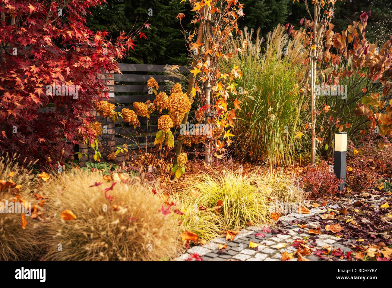 Piante nelle tonalità del rosso, del giallo e del marrone riempiono il giardino durante l'autunno. Foto Stock