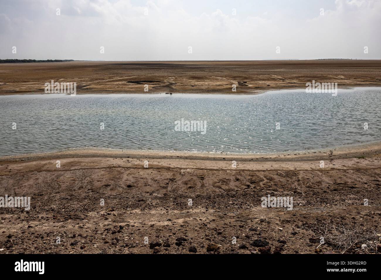 Palude nel deserto, vicino a Rann di Kutch, Kutch, Gujarat, India, Asia meridionale, Asia Foto Stock