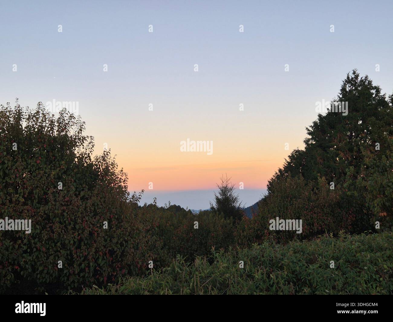 Splendida vista su Alishan, Taiwan (阿里山，台灣) - Immagine stock catturata con smartphone
