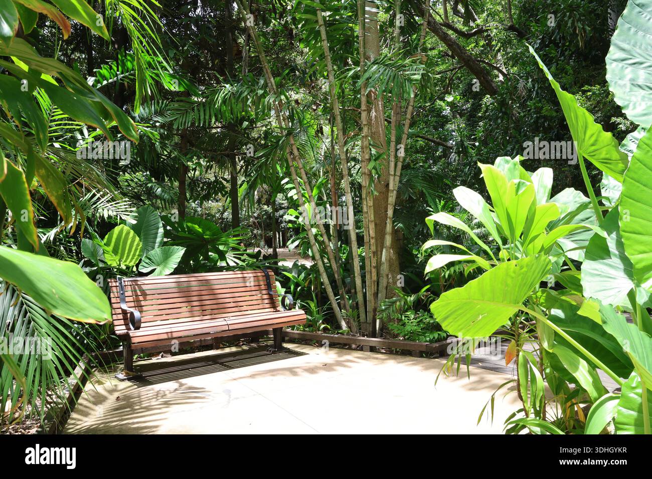Persone che si rilassano e camminano attraverso i Giardini Botanici di Brisbane con edifici cittadini sullo sfondo, godendo di uno spazio verde in un ambiente urbano. Foto Stock