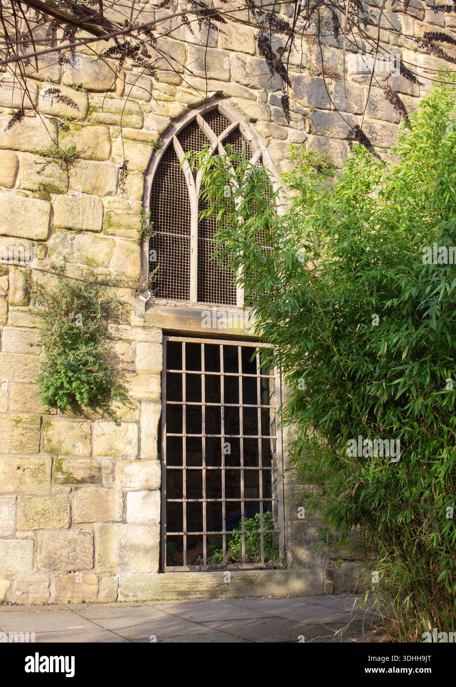 Finestra ad arco e porta su West Walls, Newcastle upon Tyne, Regno Unito Foto Stock