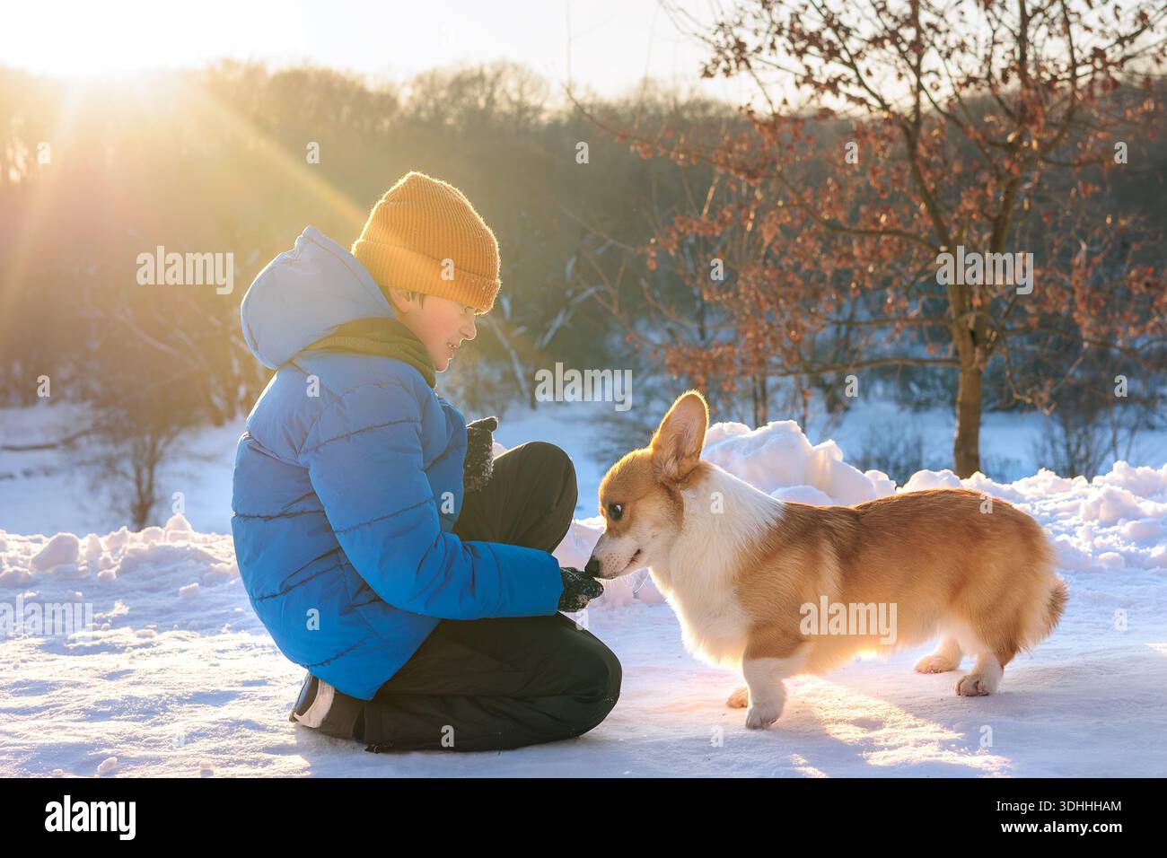 bambini che giocano con un cane corgi all'aperto durante l'inverno in un parco innevato. Calda interazione tra un bambino e un animale domestico. Infanzia, cura degli animali, amicizia Foto Stock