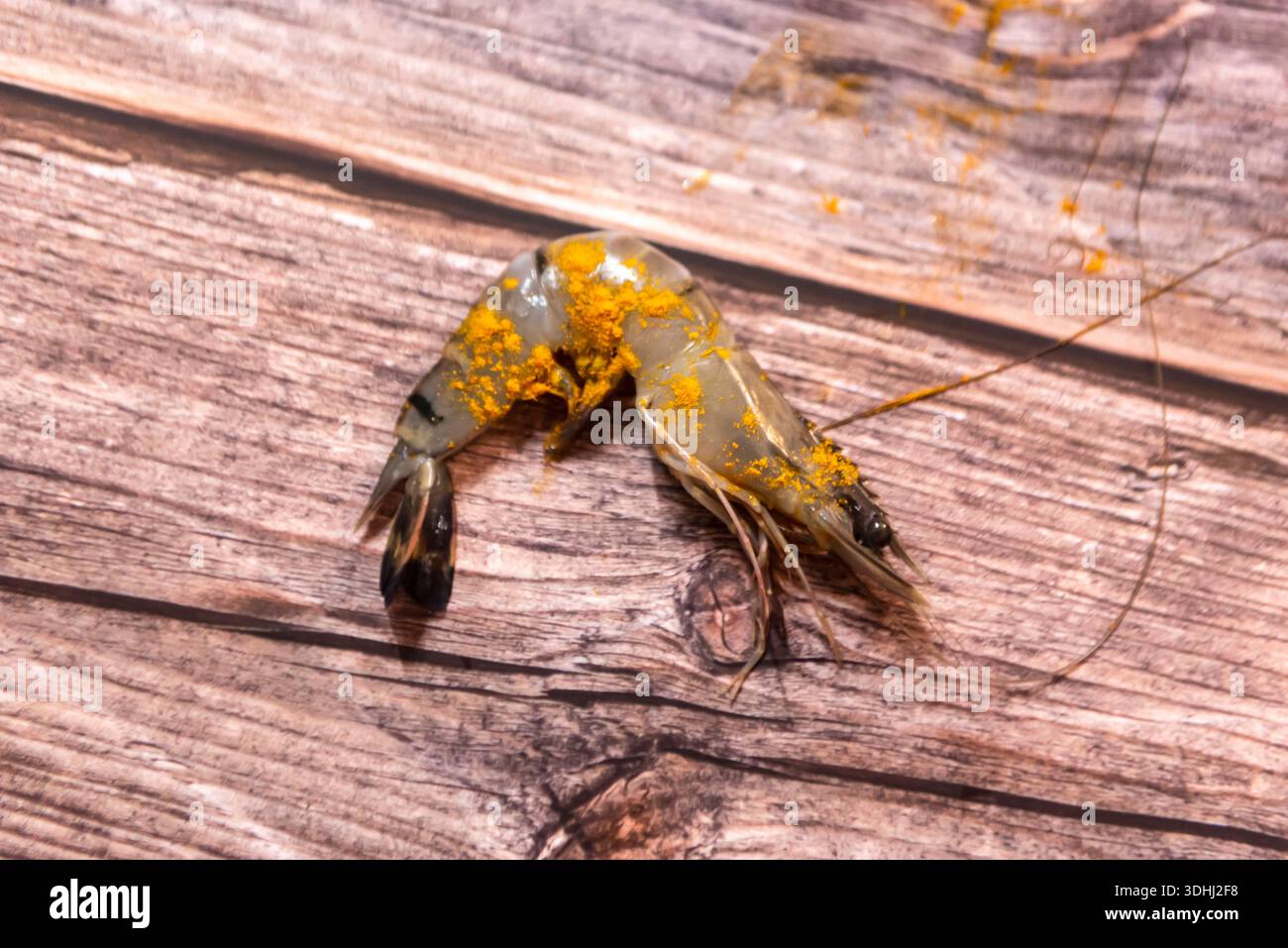 Primo piano di un gambero su sfondo di legno Foto Stock