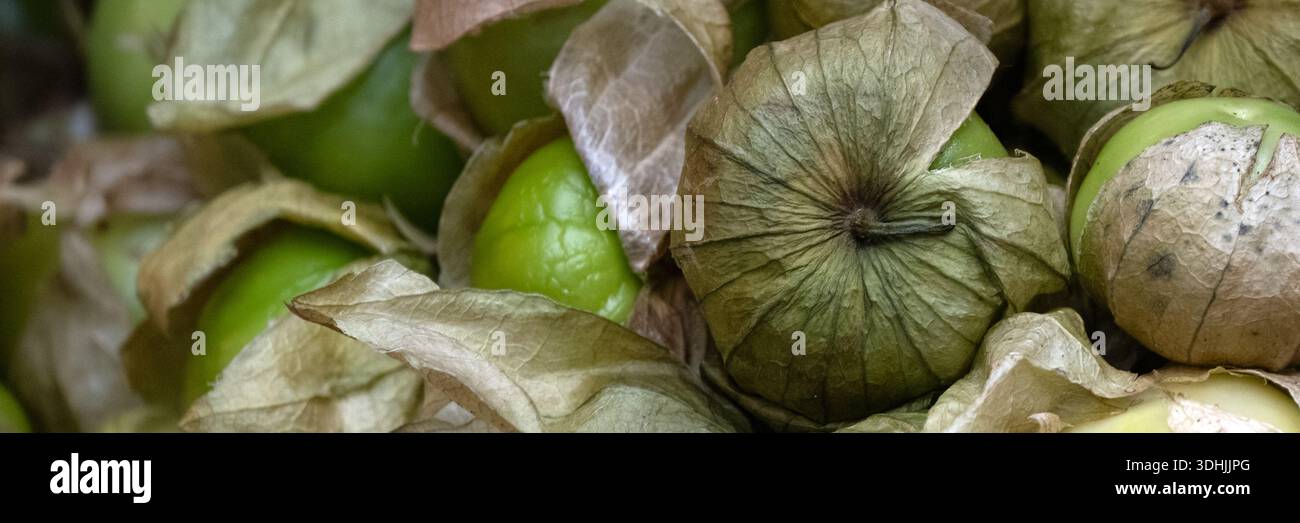 Panorama di Tomatillo crudo fresco in un mercato alimentare Foto Stock