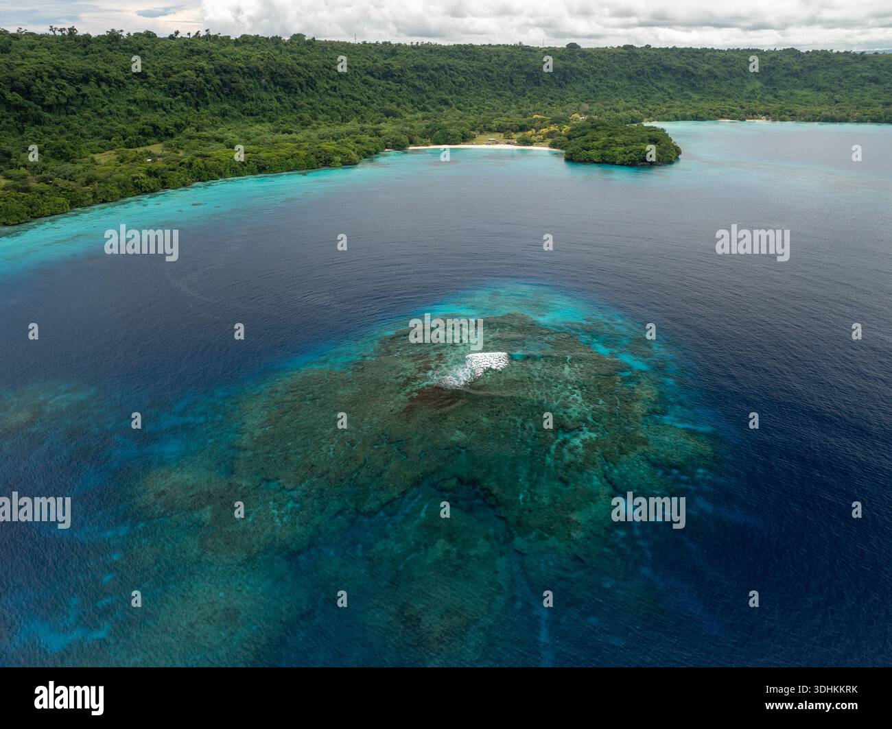 Vista aerea delle acque turchesi che abbracciano una vivace barriera corallina vicino a lussureggianti paesaggi verdi, Espiritu Santo, provincia di Sanma e Vanuatu. Foto Stock