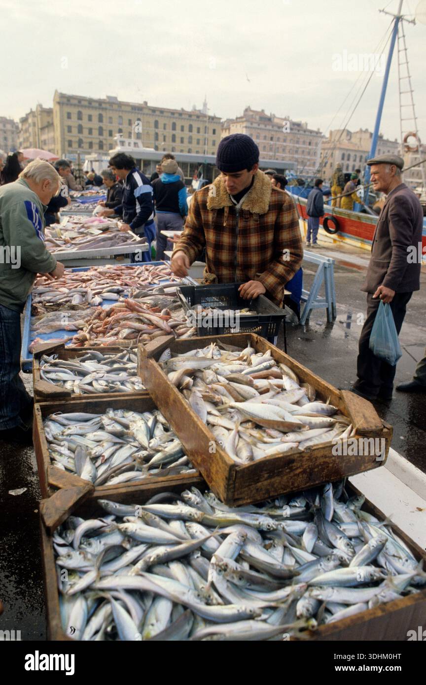 francia Marsiglia marche mercato del pesce pecheur vendita al mattino porto di pescatore fresco criée Foto Stock
