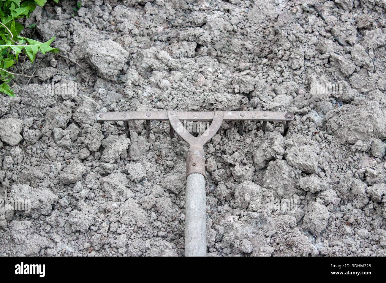 Allentamento del terreno con un rastrello nella serra. Primo piano di un rastrello da giardino in metallo che pulisce la terra in primavera. Preparazione per la semina. Foto Stock