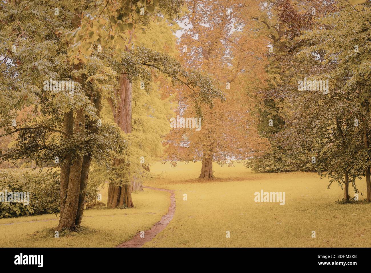 Un tranquillo scenario autunnale in un parco, caratterizzato da un percorso tortuoso circondato da alberi colorati e lussureggiante erba verde. Foto Stock