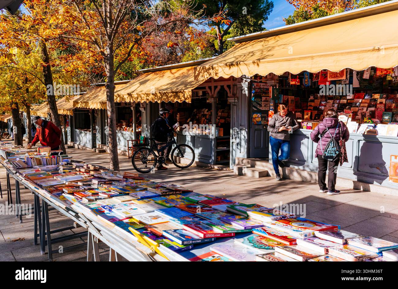Bancarelle di libri nella Cuesta de Claudio Moyano. Madrid, Comunidad de madrid, Spagna, Europa Foto Stock