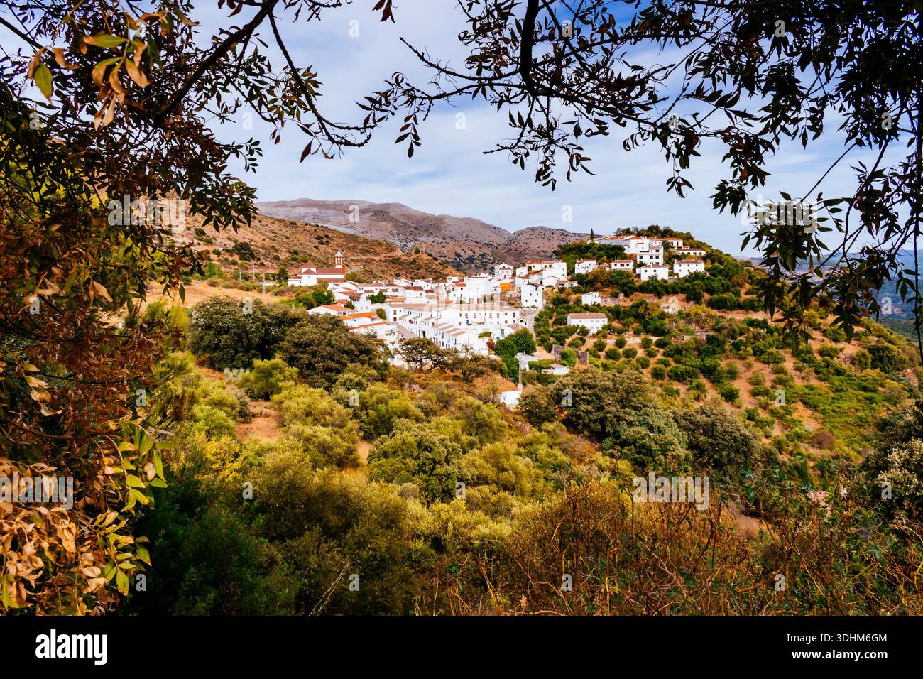 Il villaggio bianco di Atajate nella provincia di Málaga, Sierra de Ronda, Málaga, Andalucía, Spagna, Europa Foto Stock