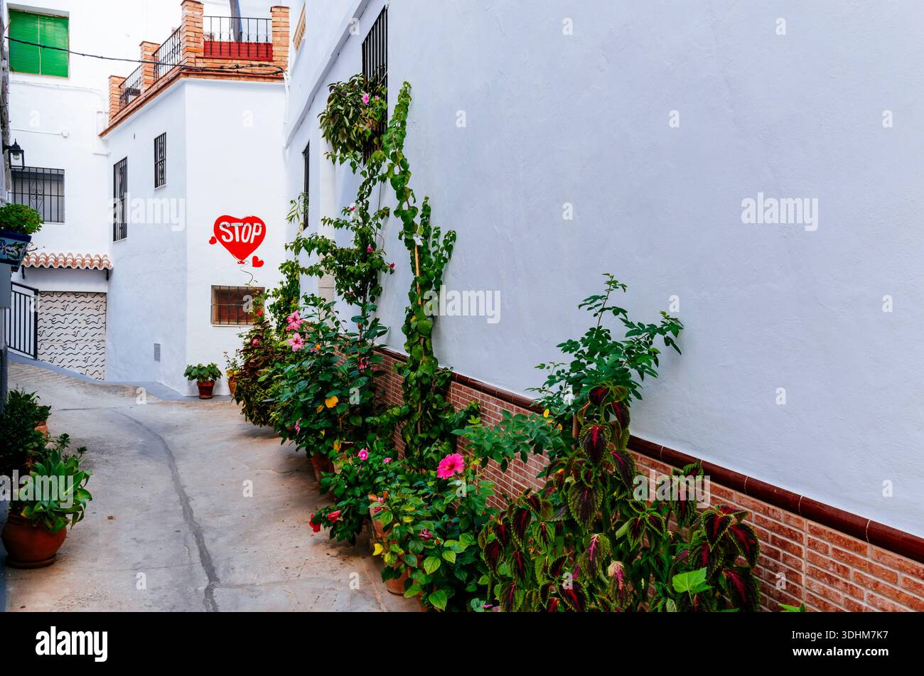 I vasi di fiori adornano le strade del villaggio. Tolox, Parco naturale della Sierra de las Nieves, Málaga, Andalucía, Spagna, Europa Foto Stock