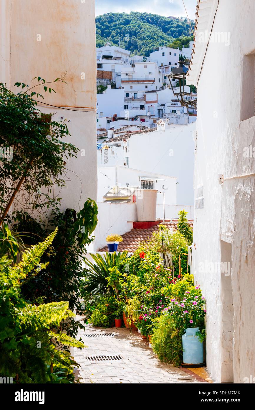 I vasi di fiori adornano le strade del villaggio. Tolox, Parco naturale della Sierra de las Nieves, Málaga, Andalucía, Spagna, Europa Foto Stock